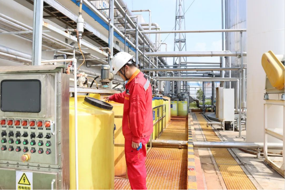 1728439612236.jpg 1728439612236.jpg